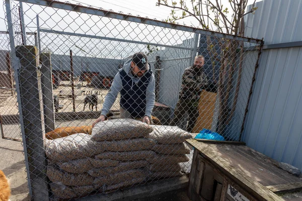 Région Kyiv Ukraine 2022 Des Bénévoles Aident Refuge Canin Gostomel — Photo