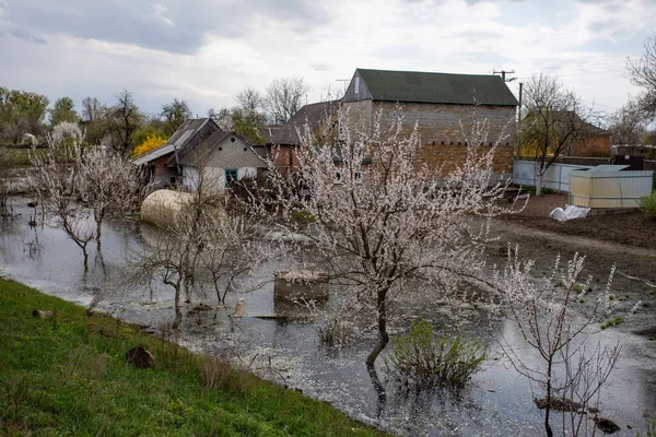 Rusya Nın Ukrayna Daki Kyiv Bölgesinde Barajın Patlaması Sonucu Sel — Stok fotoğraf