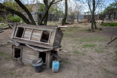Terk edilmiş farklı türlerden toplanan köpek barınağı. Bazı insanlar evcil hayvanlarını terk eder, köpek kulübesine götürülünceye kadar sokaklarda dolaşırlar..