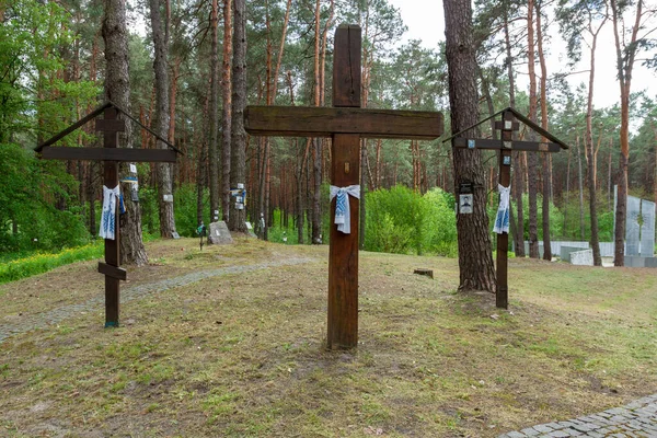 2022年5月15日 乌克兰拜基夫尼亚 乌克兰和波兰代表团在基辅附近拜科沃纳的波兰军事公墓举行悼念斯大林迫害受害者的仪式 — 图库照片