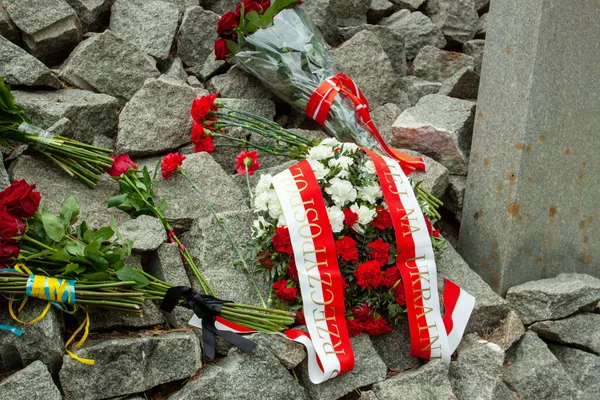 우크라이나 비키브 2022 우크라이나 폴란드 대표단 키예프 비코바의 폴란드 묘지에서 — 스톡 사진