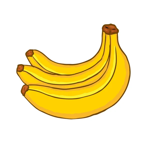 Tros bananen, — Stockvector