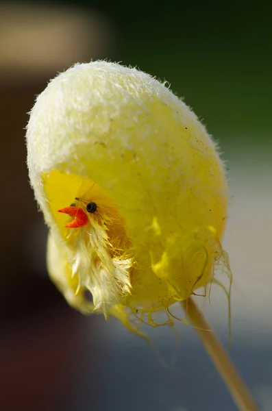 Uovo di Pasqua — Foto Stock