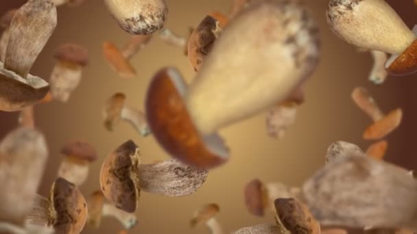 Champignons frais tombant. Mouvement lent. — Video