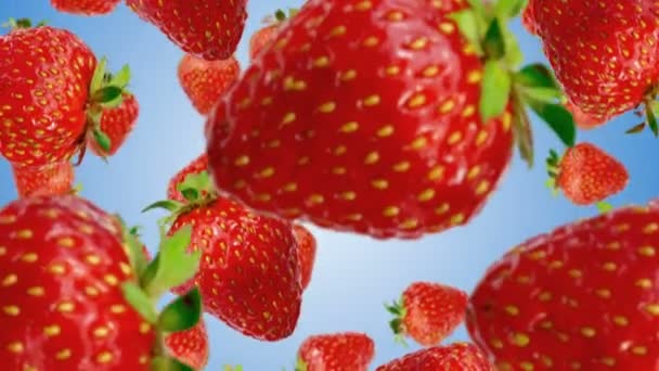 Fresh strawberry falling down. Slow motion. — Stock Video