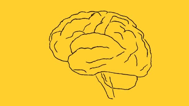 Cerebro Humano Dibujo Sobre Fondo Amarillo — Vídeo de stock