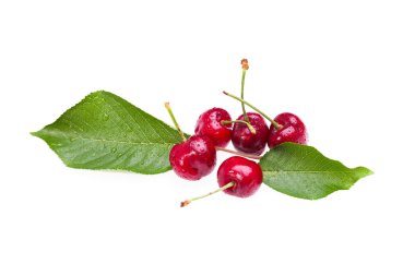Beyaz arka plan üzerinde Olgun Kiraz