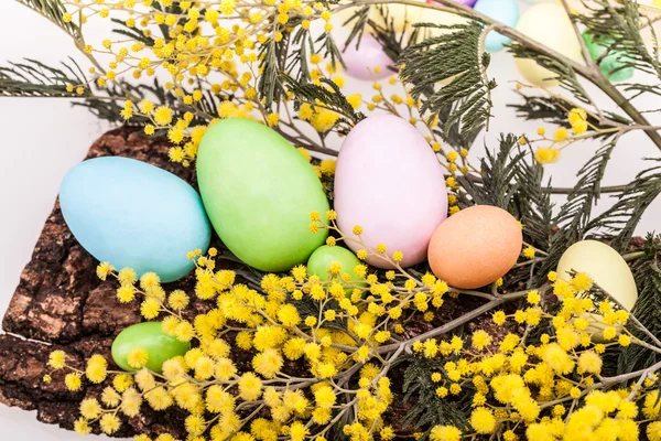 Easter Eggs And Mimosas — Stock Photo, Image