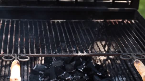 Grill mit Holzkohle — Stockvideo