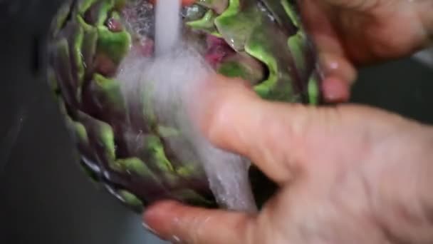 Prepare Artichokes For Grilling — Stock Video