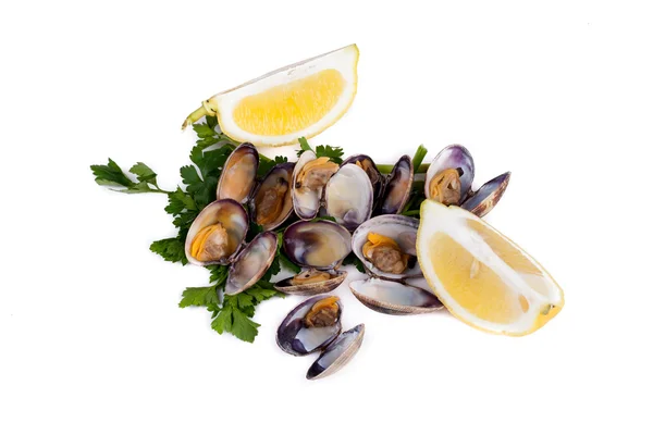 Kokta musslor — Stockfoto