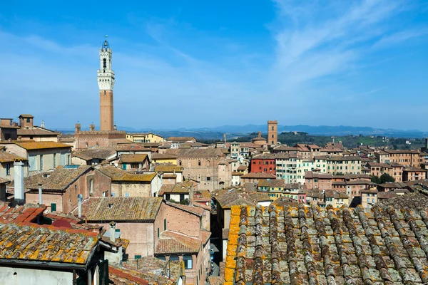 Siena střechy — Stock fotografie