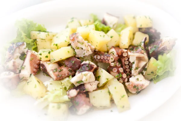 Octopus en aardappel salade — Stockfoto