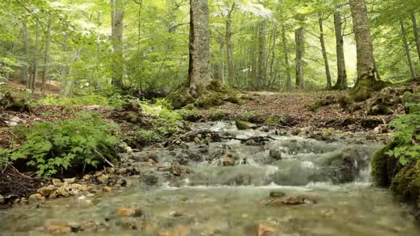 Малый водопад — стоковое видео