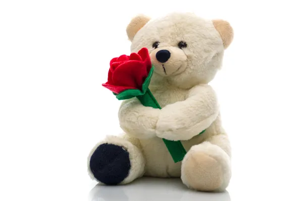 Teddy bear egy vörös rózsa Stock Kép