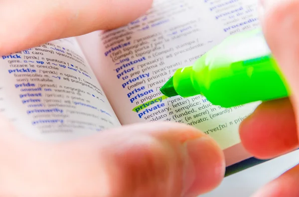 Mettre en surbrillance le mot Confidentialité dans un dictionnaire Images De Stock Libres De Droits