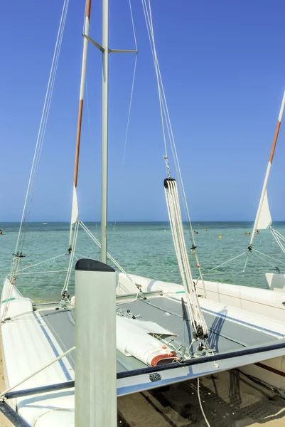 Catamaran sailboat — Stock Photo, Image