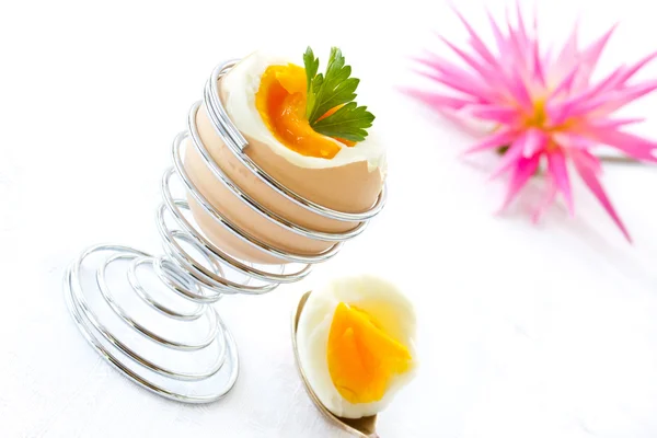 Boiled egg — Stock Photo, Image