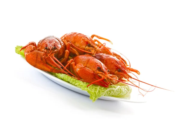 Lobster Stock Image