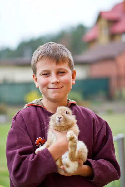 Счастливый мальчик с кроликом — стоковое фото