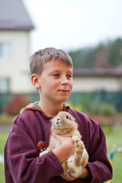 Niño feliz con un conejo — Foto de Stock