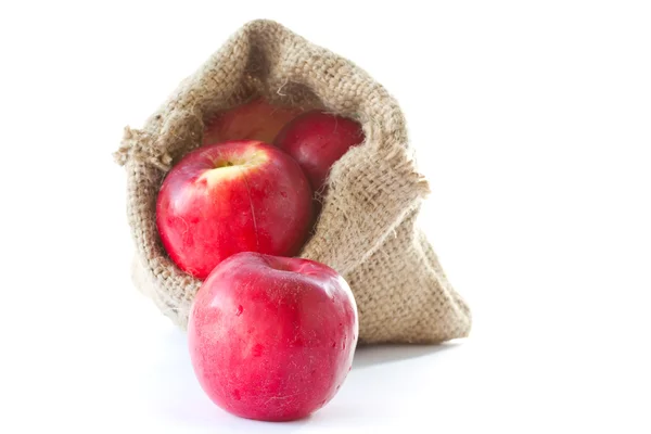 Pommes dans un sac — Photo
