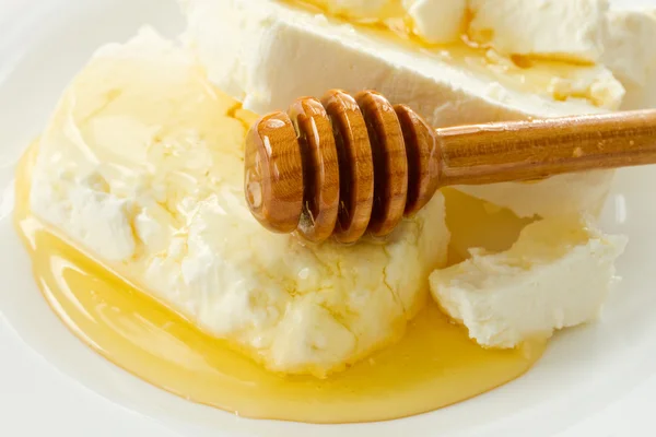 蜂蜜とミルク カッテージ チーズ — ストック写真