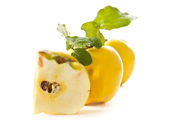 Quince — Stock Photo, Image