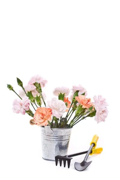 Bouquet of carnations in a vase — Stock Photo, Image