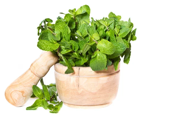 Fresh mint — Stock Photo, Image