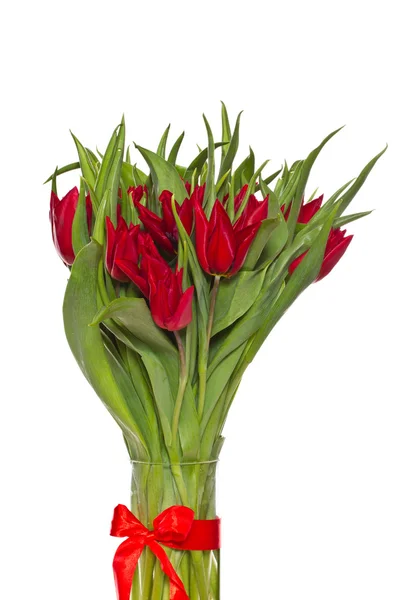 Red tulips — Stock Photo, Image