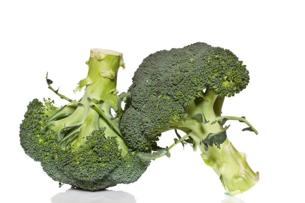 Broccoli — Stock Photo, Image