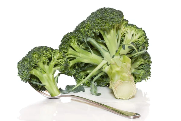 Broccoli — Stock Photo, Image