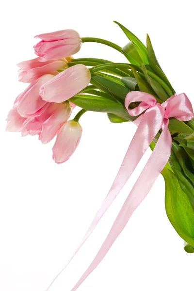 Pink tulips — Stock Photo, Image