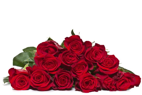 Rosas rojas — Foto de Stock