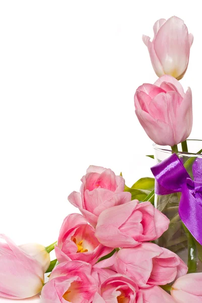 Beautiful pink tulips — Stock Photo, Image