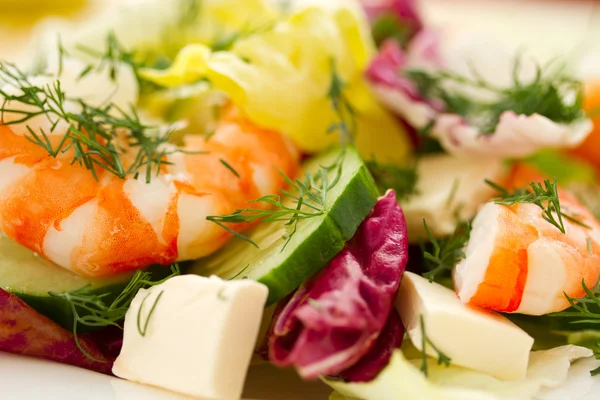 Frischer Salat mit Garnelen — Stockfoto