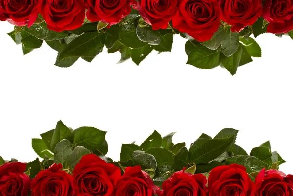 Frame of red roses — Stock Photo, Image