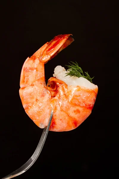 Shrimp — Stock Photo, Image