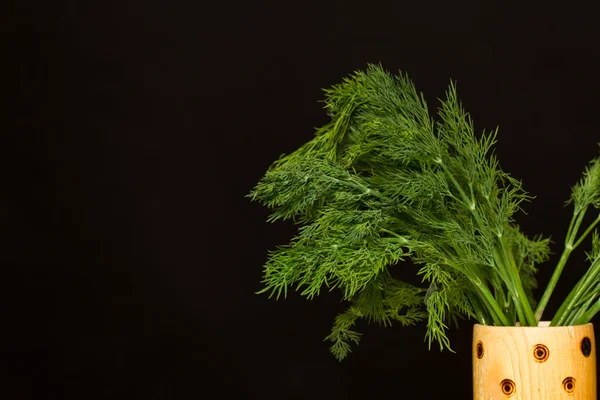 Fresh dill — Stock Photo, Image