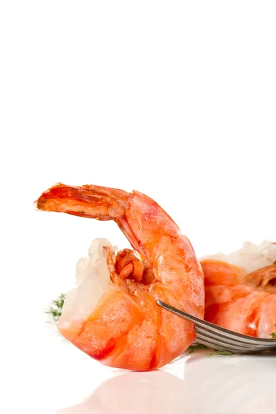 Shrimp — Stock Photo, Image