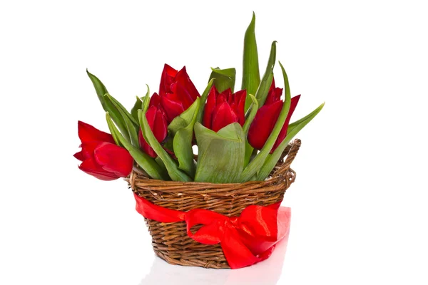 Rote Tulpen — Stockfoto