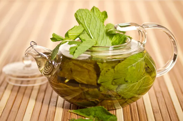 Té verde con menta fresca — Foto de Stock