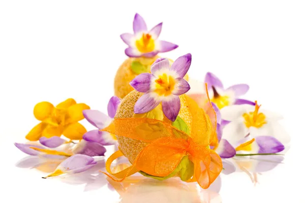 Easter eggs with crocuses — Stock Photo, Image