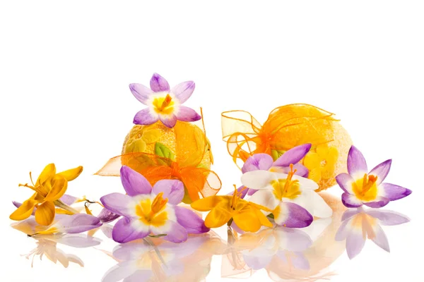 Easter eggs with crocuses — Stock Photo, Image