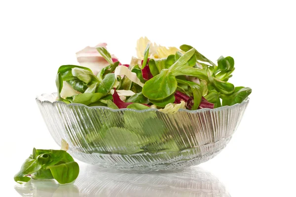 Verse salade met rucola — Stockfoto