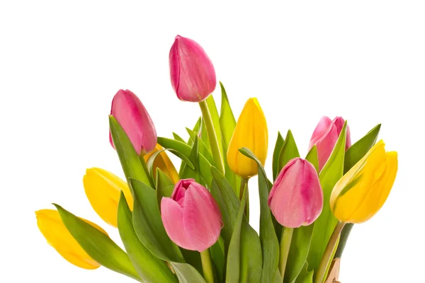 Mooi boeket tulpen — Stockfoto