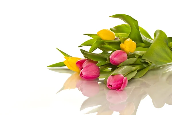 Beau bouquet de tulipes — Photo