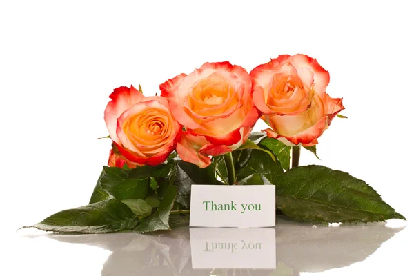 Köszönjük, hogy a virágzó rózsák — Stock Fotó