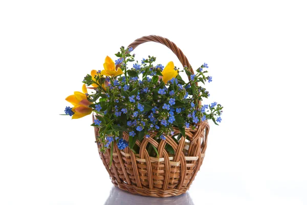 Buquê de flores do início da primavera — Fotografia de Stock